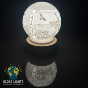 Savannah Globe